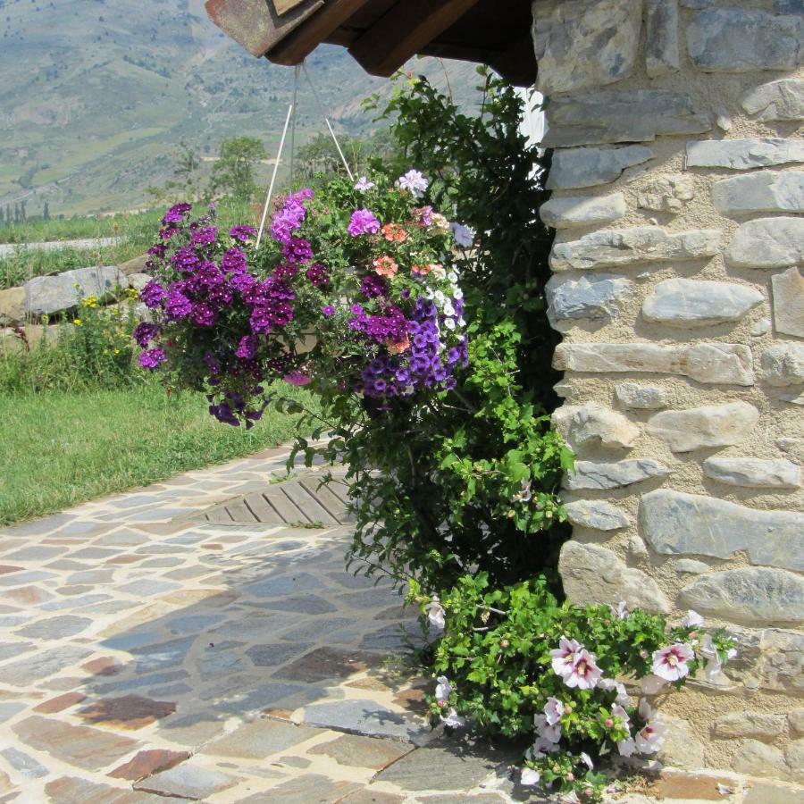 Le Clos De Lumiere Holiday home La Roche-des-Arnauds